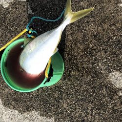 浮き呑ませ、エレベーター仕掛けの2刀流