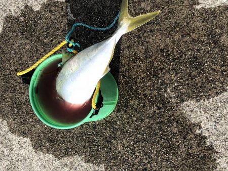 浮き呑ませ、エレベーター仕掛けの2刀流