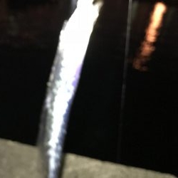 何とか1匹リールトラブル