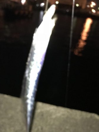 何とか1匹リールトラブル