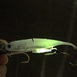 あたりはあるが、、、