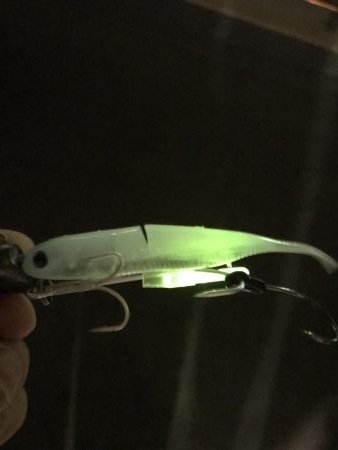 あたりはあるが、、、