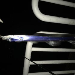 ラッキードラゴン