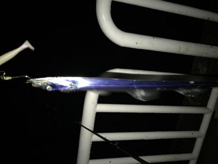 ラッキードラゴン