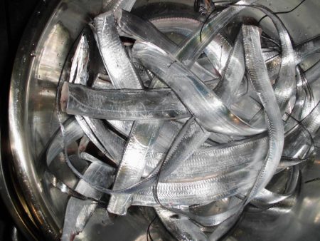 連荘スタート！タッチ―２５本獲ったどー！