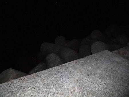 江井ヶ島でタッチ―２本。。。