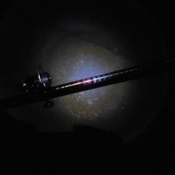 15日に5タッチ―、17日に4タッチ―獲ったどぉ・・・