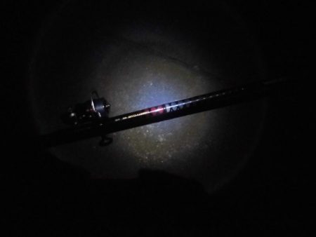 15日に5タッチ―、17日に4タッチ―獲ったどぉ・・・