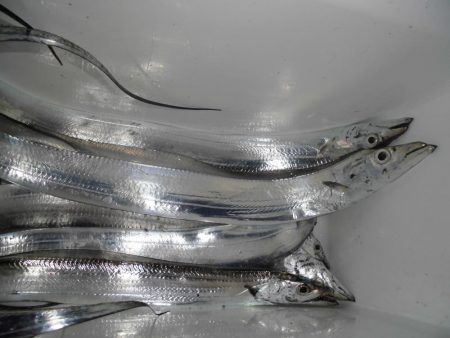 スレたタッチ―６本。。