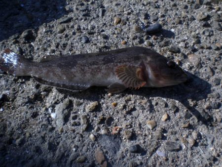 今日は夫婦で！