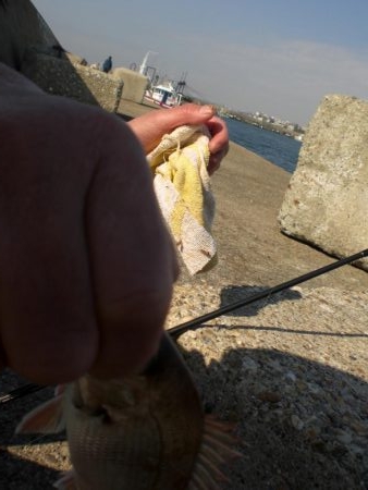 今日は、寒く渋い。