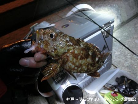 タチウオ狙いのはずがガッシーでボウズ逃れ