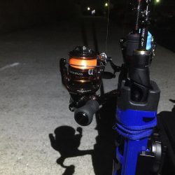 シロギス狙いが。。