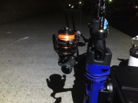 シロギス狙いが。。