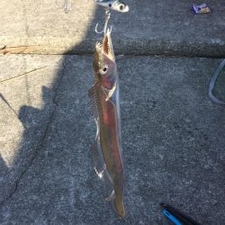 朝一、人人人…