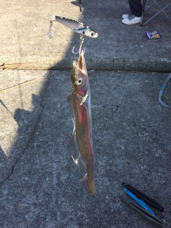 朝一、人人人…