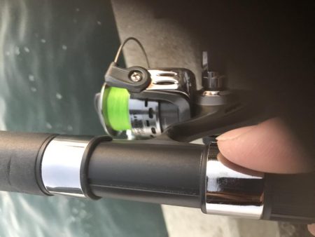 夕まずめタチウオ