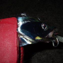 そろそろ終盤？