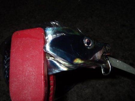 そろそろ終盤？