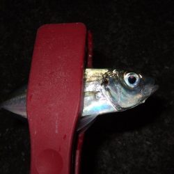 し、渋い・・・