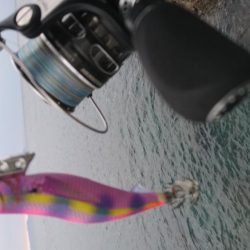 ちょこっとエギング