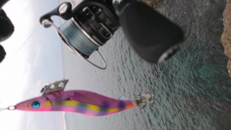 ちょこっとエギング