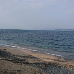 加太漁港デビュー