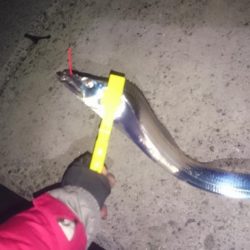 長時間頑張れど…