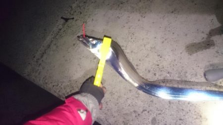 長時間頑張れど…