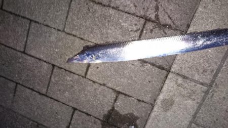 友人が初タチゲット！！