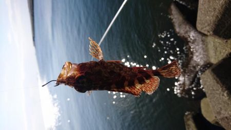 のんびりフカセ