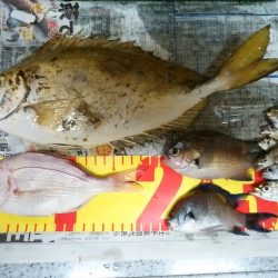 久しぶりに釣れました