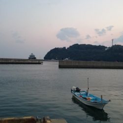 津田でタチウオ