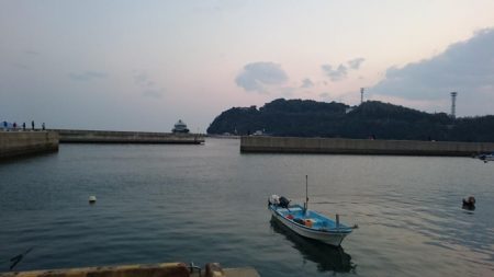 津田でタチウオ