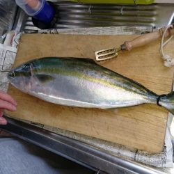 エビ巻き釣り