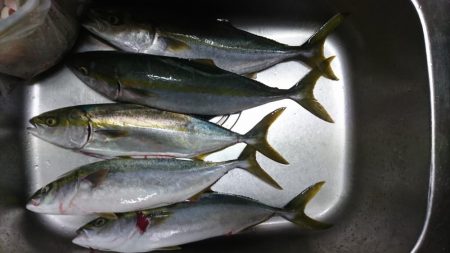 朝イチ渋く昼から爆釣