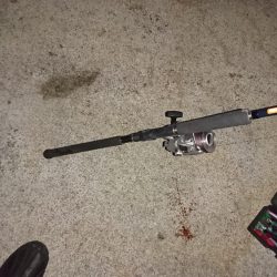 はーまーちーどーこー？