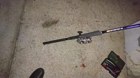 はーまーちーどーこー？