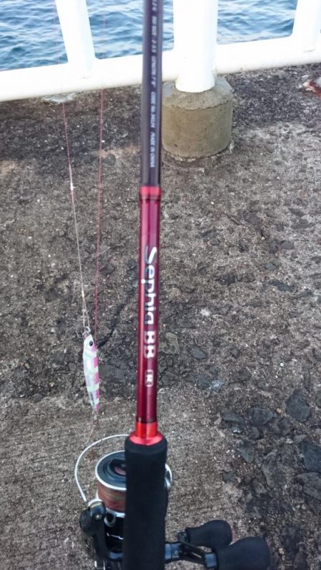 タチウオ継続中