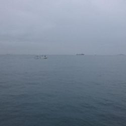 タチウオまだまだ釣れる