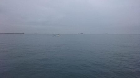 タチウオまだまだ釣れる