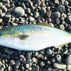 まだ、真っ暗ですが…