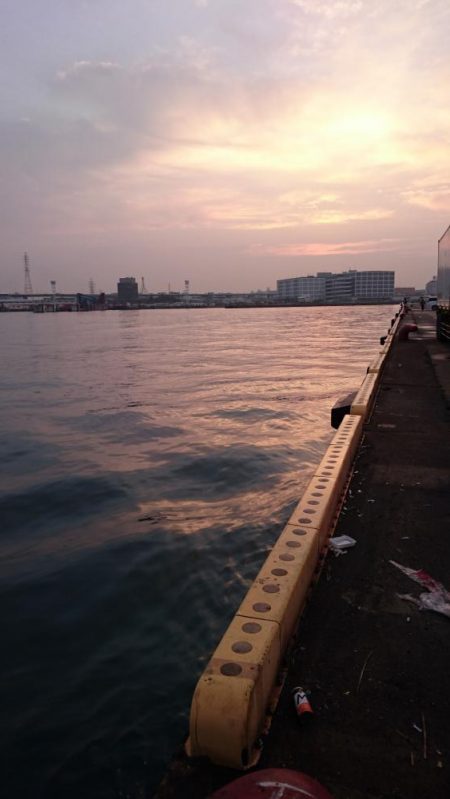 南港タチウオまだまだまだ釣れる