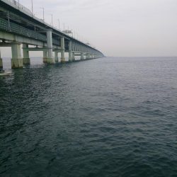 場所の選択は難しいね