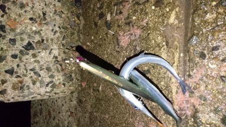 サヨリパターン攻略?