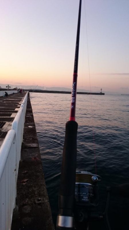 南港タチウオ大潮釣果