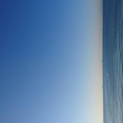 ボトムネチネチ♪