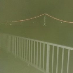 久々のエギング