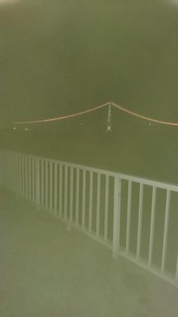 久々のエギング