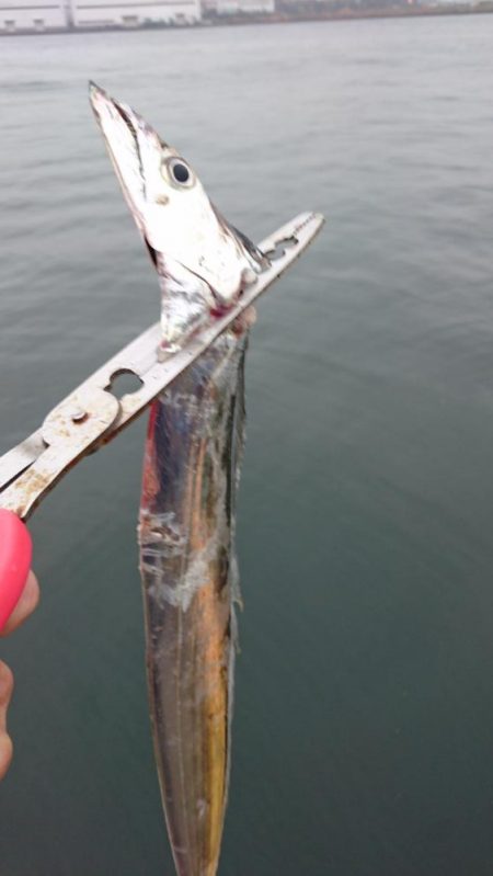 タチウオ奥湾の方へ